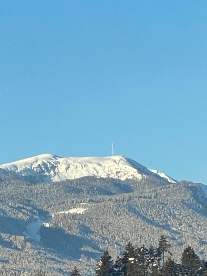 Villa Petrabunt Villach Exteriör bild